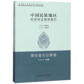 中国国际仲裁评论  总第五卷