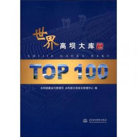 中国高坝大库TOP100
