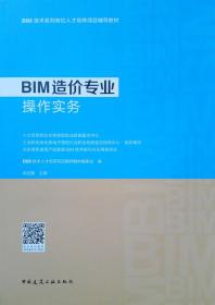 BIM设计施工综合技能与实务（第二版）