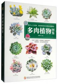 叶子图鉴（本书将带你鉴赏各种各样的植物叶子！）