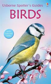 Birds Art Life Death: The Art of Noticing the Small and Significant