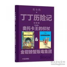 丁丁历险记·独角兽号的秘密