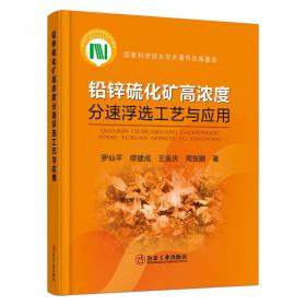 铅锌冶炼生产技术手册