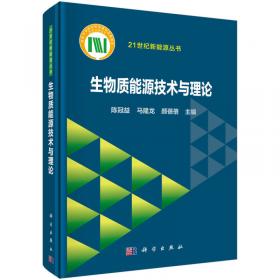 中高温传热蓄热材料/21世纪新能源丛书