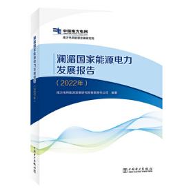 大湾区电力发展报告（2022年）