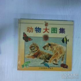 动物世界