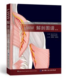 LWW解剖学精要图谱：背部、上肢和下肢