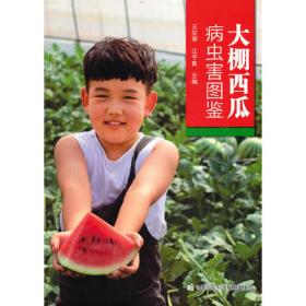 大棚番茄制种致富—陕西省西安市栎阳镇