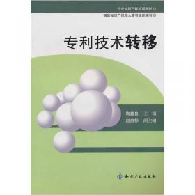 专利管理工程师任职资格考试丛书（中级本）：知识产权基础