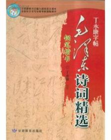 丁永康字帖·书法练习指导·硬笔描红版：九年级下（RJ版）