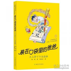 装在口袋里的爸爸 -天上掉下个金箍棒