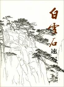 中国高等院校美术专业系列教材：中国山水画技法