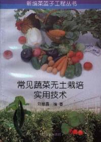 蔬菜无土栽培实用技术