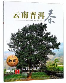 2007云南普洱茶—春