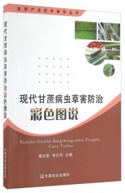 中国甘蔗产业发展技术