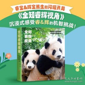 古老之美：承孝相的建筑旅行
