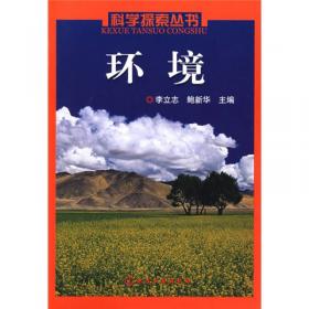 二十一世纪普通高等院校实用规划教材·经济管理系列：会计信息系统