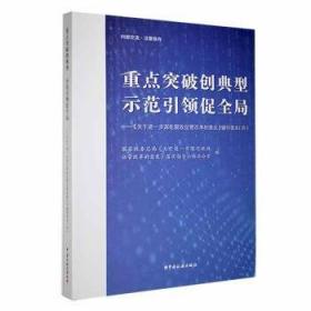 重点难点解题手册——初中化学