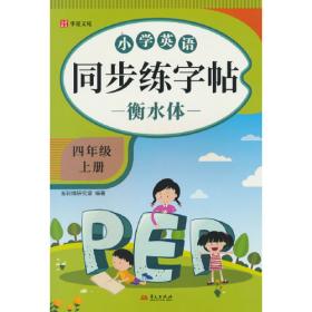 小学数学教学新论