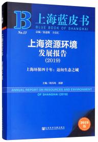 上海蓝皮书：上海文学发展报告（2013）