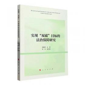 实现担保物权实证研究 