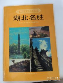 湖北卫生年鉴. 2013卷