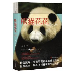 熊猫桐桐绘本丛书  一二三，木头人