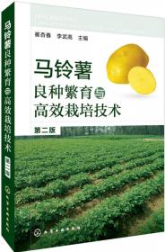 安全土豆高效生产技术