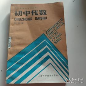 中学生新英汉双解词典
