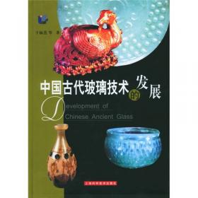 丝绸之路上的古代玻璃研究：2004年乌鲁木齐中国北方古玻璃研讨会和2005年上海国际玻璃考古研讨会论文集