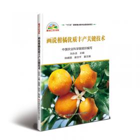 柑橘生产精细管理十二个月