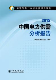 能源与电力分析年度报告系列：2013中国节能节电分析报告