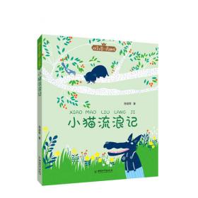 拼音王国·名家经典书系——小猫流浪记