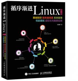 高性能Linux服务器构建实战：运维监控、性能调优与集群应用