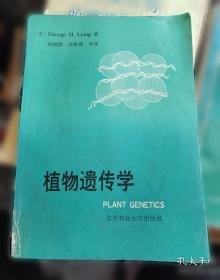 植物精油养生