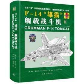 F-117“夜鹰”战机