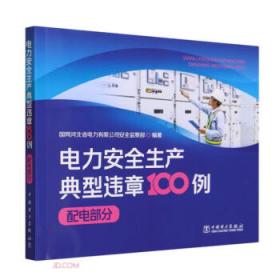 电力工程项目管理