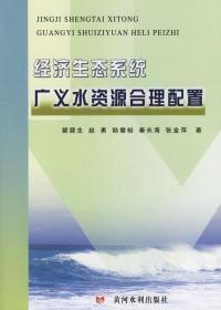 中国农业用水安全中国水安全出版工程