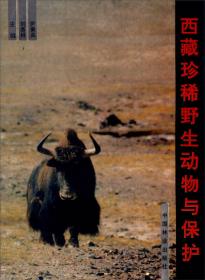 中国西藏文化之旅：世界屋脊上的生命