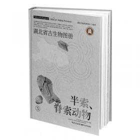 湖北省古生物图册(6植物)(精)