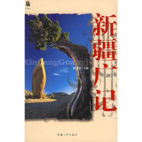 中国西部：新疆手册