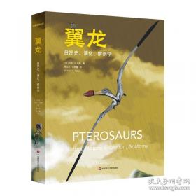 致我离家出走的女儿