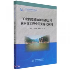 交互式教师培训设计（上海教师教育丛书*知新书系）
