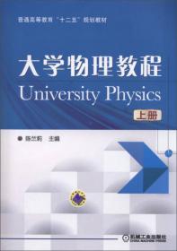 大学物理教程（下）