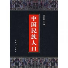 全面建设小康社会人口与可持续发展报告