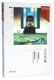 青岛出版社 常新港励志成长系列 少年黑卡