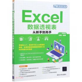 Excel公式与函数大辞典
