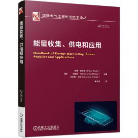 能量色散X射线荧光光谱/21世纪科学版化学专著系列