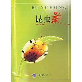 中国昆虫记：一个诗人镜头里的昆虫丽影