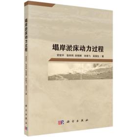 泥石流运动机理与灾害防治/水利学科学术著作丛书